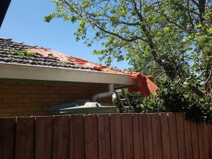 Roof Damage