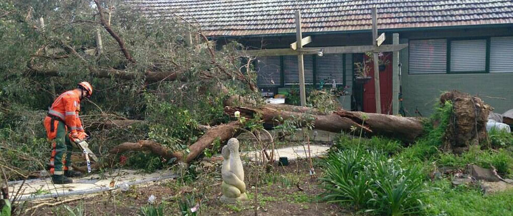 Maroondah Unit at work